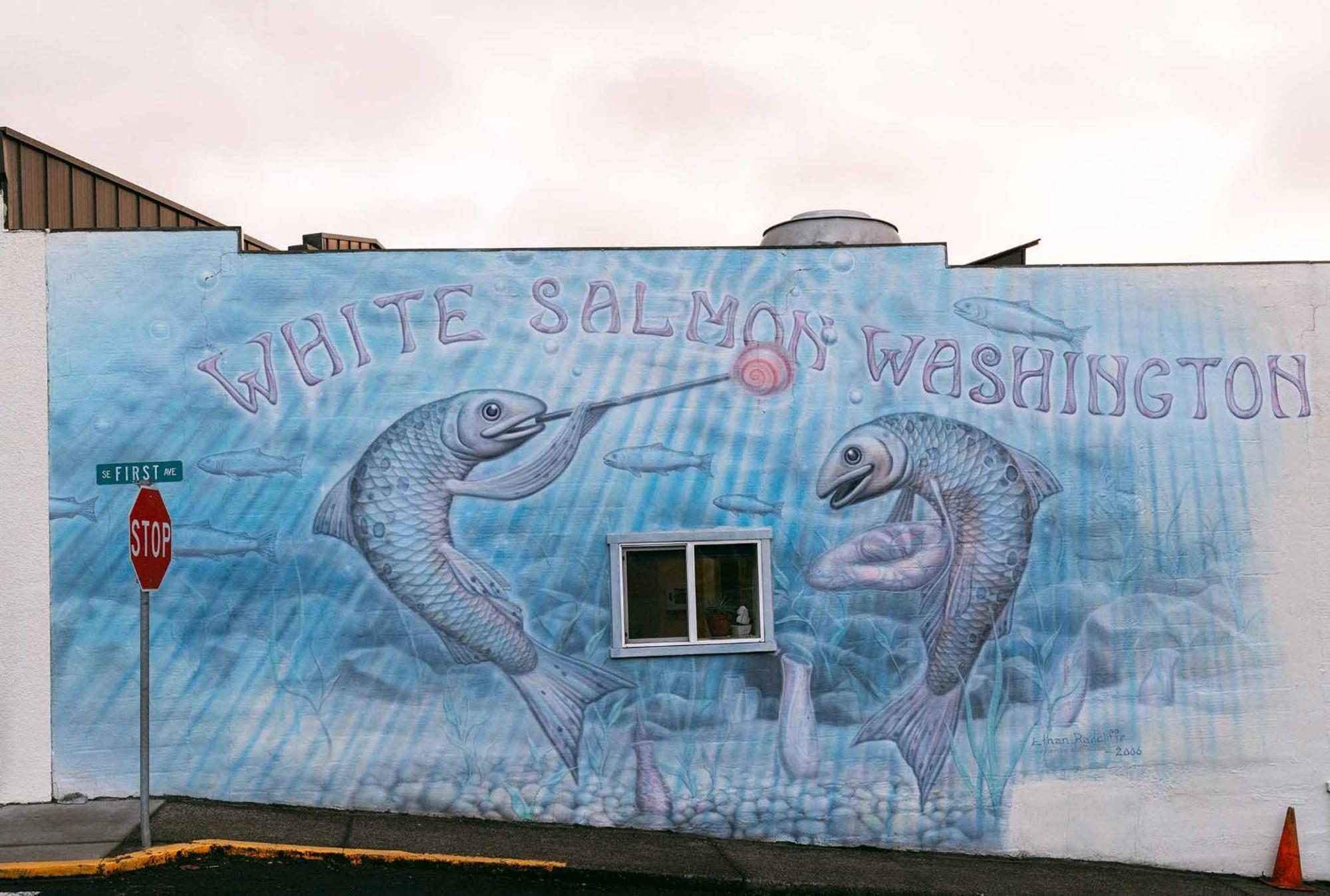 Inn Of The White Salmon 外观 照片
